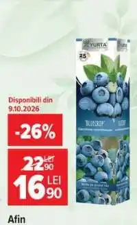 Carrefour Afin Ofertă