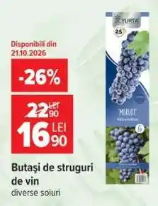 Carrefour Butași de struguri de vin Ofertă