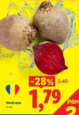 Lidl Sfeclă roșie Ofertă