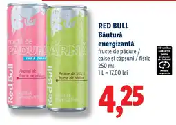 Lidl Red Bull băutură energizantă Ofertă