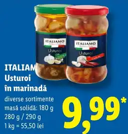 Lidl Itali amo usturoi în marinadă Ofertă