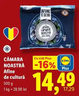 Lidl Cămara noastră afine de cultură Ofertă