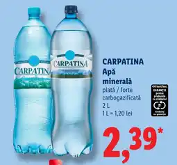 Lidl Carpatina Apă minerală plată / forțe carbogazificată Ofertă