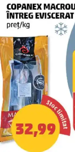 Penny Copanex macrou întreg eviscerat Ofertă