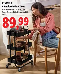 Lidl Livarno cărucior de depozitare Ofertă