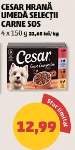 Penny Cesar hrană umedă selecții carne sos Ofertă