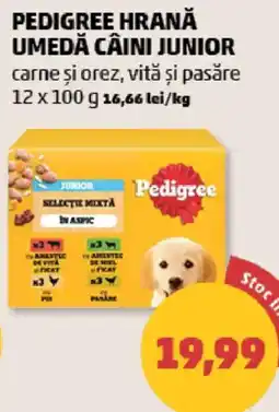 Penny Pedigree hrană câini junior carne și orez, vită și pasăre Ofertă