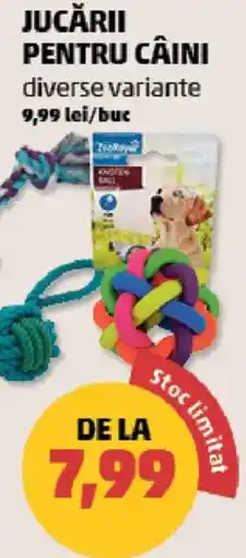 Penny ZooRoyal jucării pentru câini Ofertă