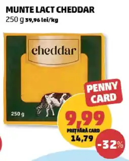 Penny Munte Lact Cheddar Ofertă