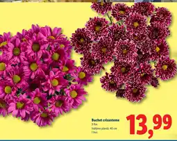 Lidl Buchet crizanteme Ofertă