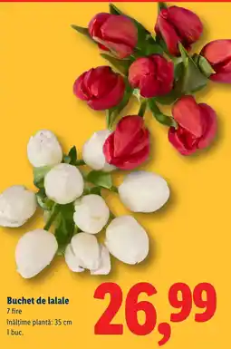 Lidl Buchet de lalale Ofertă