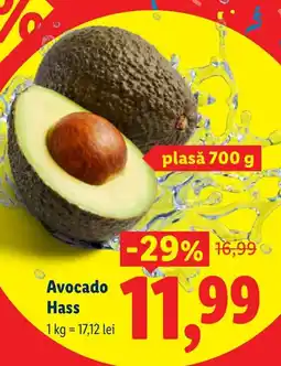 Lidl Avocado Hass Ofertă