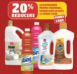 Penny Penny Card Detergenti Pentru Pardosele Ofertă
