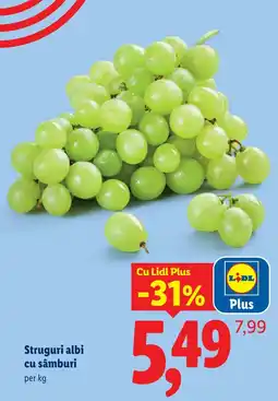 Lidl Lidl Struguri albi cu sâmburi Ofertă