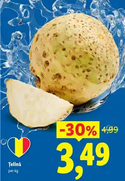 Lidl Țelină Ofertă