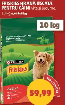 Penny Purina Friskies Active Ofertă