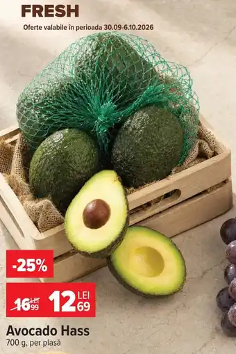 Avocado Hass