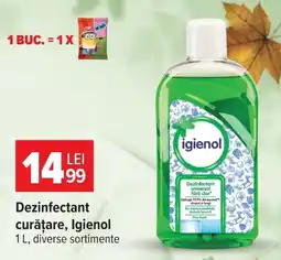 Carrefour Igienol dezinfecțant curățare Ofertă