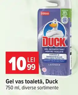 Carrefour Duck gel vas toaletă Ofertă