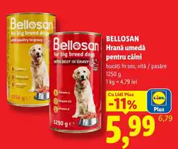 Lidl Bellosan hrană umedă pentru câini Ofertă