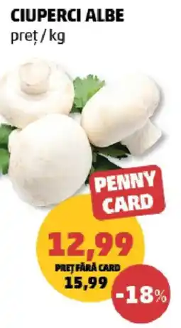 Penny Penny Card Ciuperci Albe Ofertă