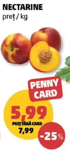 Penny Penny Card Nectarine Ofertă