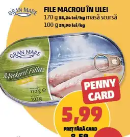 Penny Gran Mare file macro în ulei Ofertă