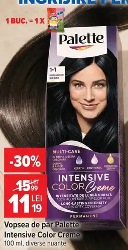 Carrefour Palette vopsea de păr Ofertă