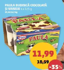 Penny Paula budincă ciocolată și vanilie Ofertă