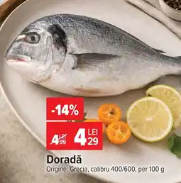 Carrefour Doradă Ofertă