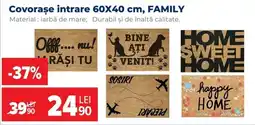 Carrefour Family covoraș intrare Ofertă