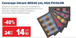 Carrefour Covorașe intrare Ofertă
