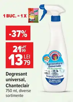 Carrefour Market Chanteclair degresant universal Ofertă