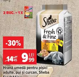 Carrefour Market Sheba Fresh & Fine Ofertă