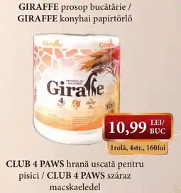 CBA Giraffe prosop bucătărie Ofertă