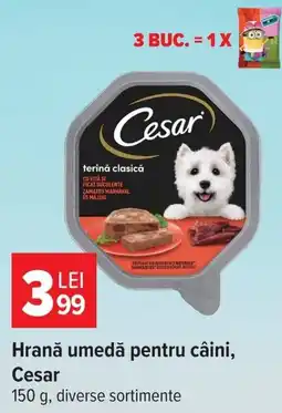 Carrefour Cesar hrană umedă pentru câini Ofertă