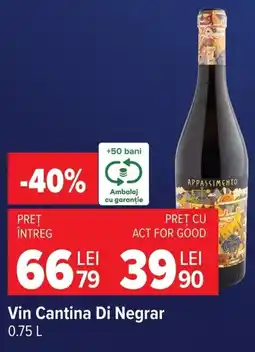 Carrefour Vin Cantina Di Negrar Ofertă
