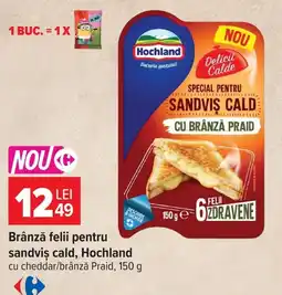 Carrefour Hochland brânză felii pentru sandviș cald Ofertă