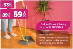 Carrefour Regina set mătură + făraș Ofertă