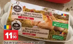 Carrefour Market C Original ouă de la găini crescute în aer liber Ofertă