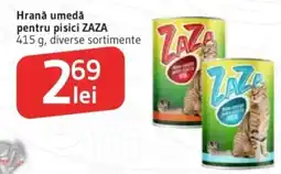 Supeco Zaza hrană umedă pentru pisici Ofertă