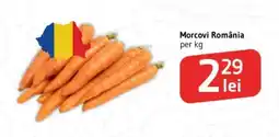 Supeco Morcovi România Ofertă