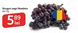 Supeco Struguri negri România Ofertă