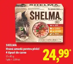 Lidl SHELMA Ofertă