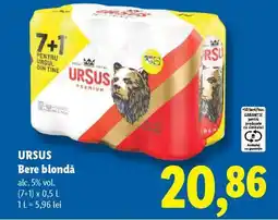 Lidl URSUS Bere blondă Ofertă