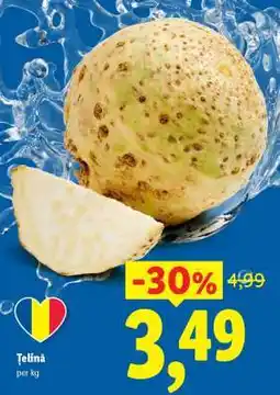 Lidl Celer Ofertă