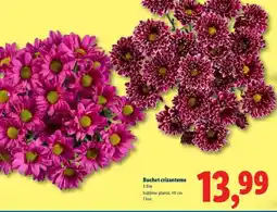 Lidl Buchet crizanteme Ofertă