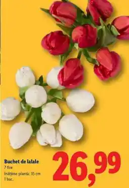 Lidl Buchet de lalele Ofertă