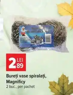Carrefour Bureți vase spiralați, Magnificy Ofertă