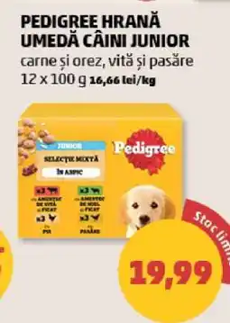 Penny PEDIGREE HRANĂ UMEDĂ CÂINI JUNIOR Ofertă